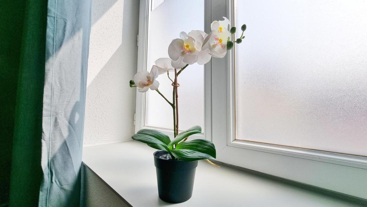Chez Jm - Calme - Chic - Fibre - Relax Bnb 뮐루즈 외부 사진