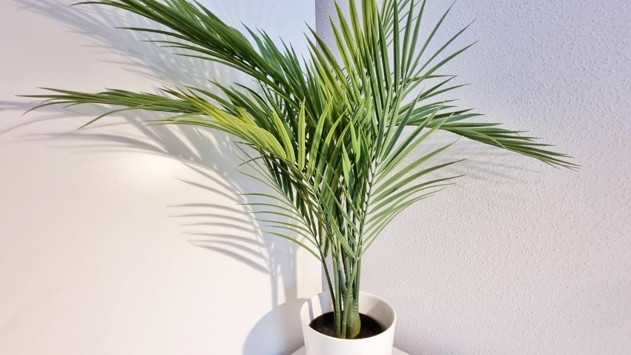 Chez Jm - Calme - Chic - Fibre - Relax Bnb 뮐루즈 외부 사진